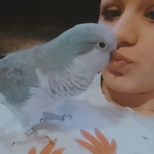 Meet your Posher, Kaylee